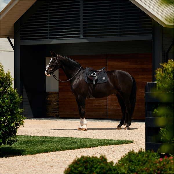 2026 WeatherBeeta Satin Luxe Air-Tec Euro Jump Shaped Saddle Pad 1030349 - Black
